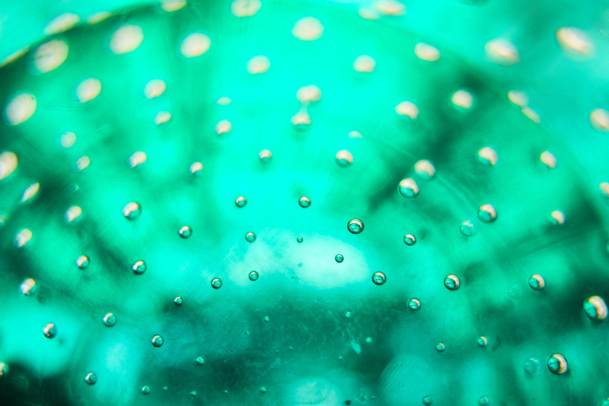 A green glass plate with a bubbly pattern.