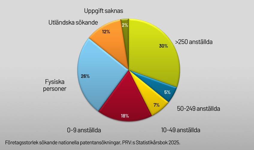 ett cirkeldiagram över patenansökande 2025