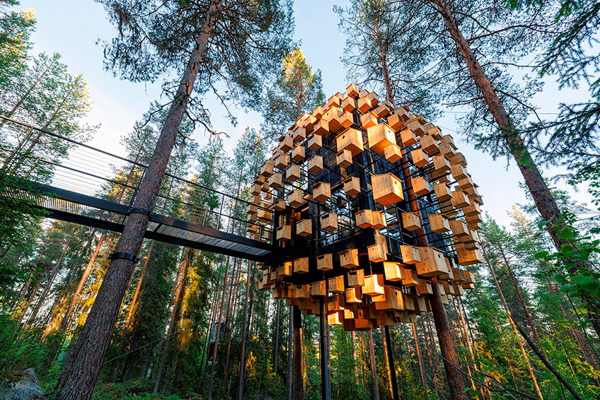 Treehotel in the forest