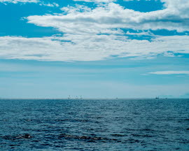 Havsbild med segelbåtar längst bort vid horisonten.